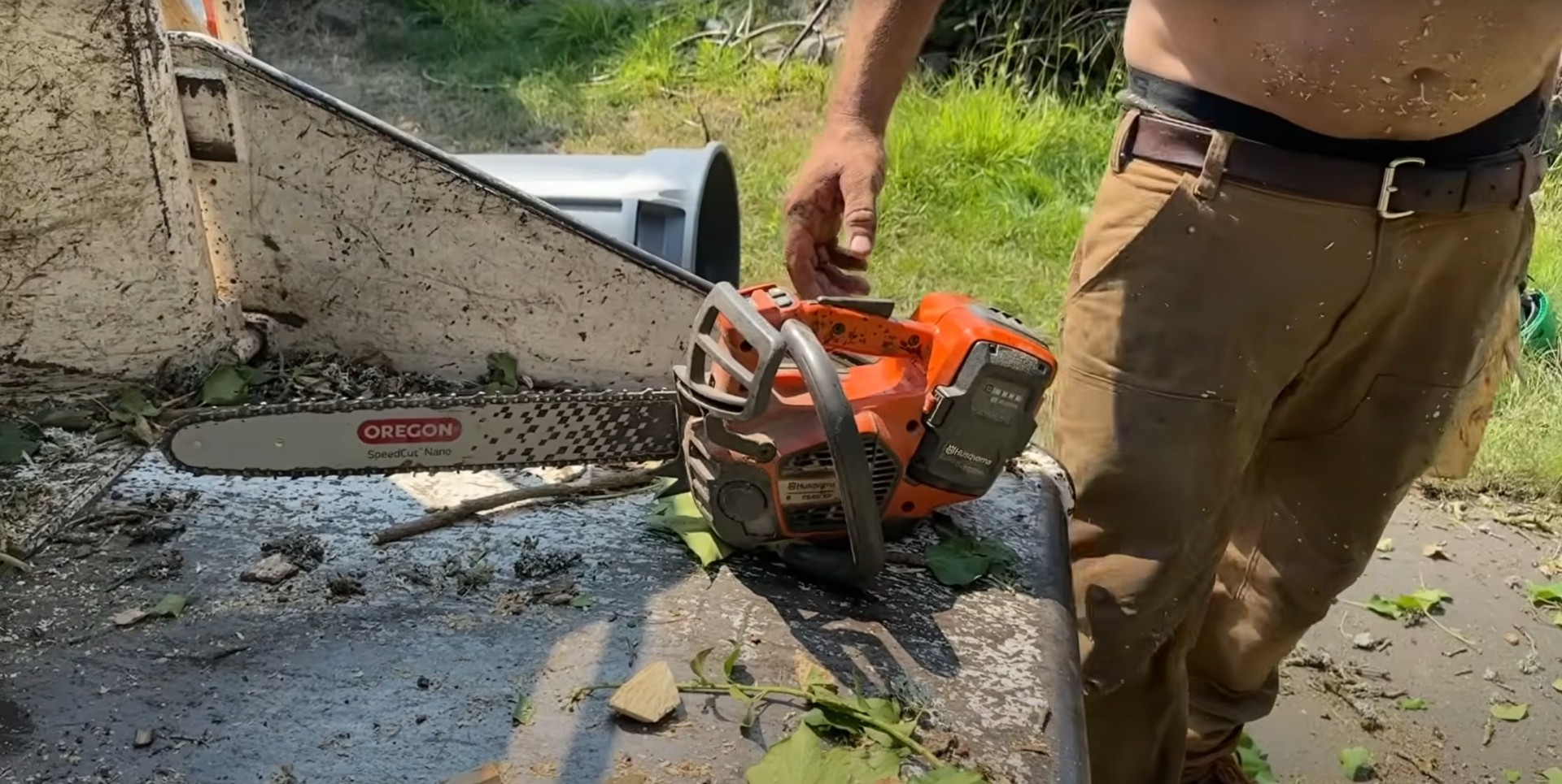 Professional chainsaw operation for precise tree cutting Professional chainsaw operation for precise tree cutting